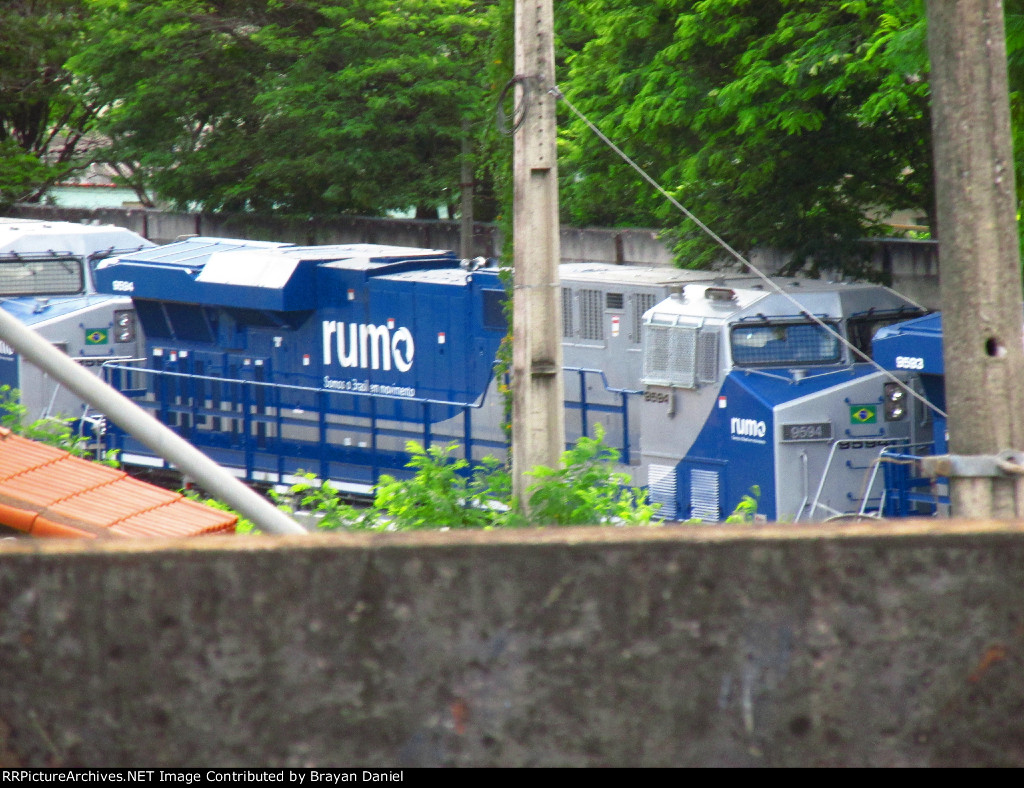 RUMO 9594